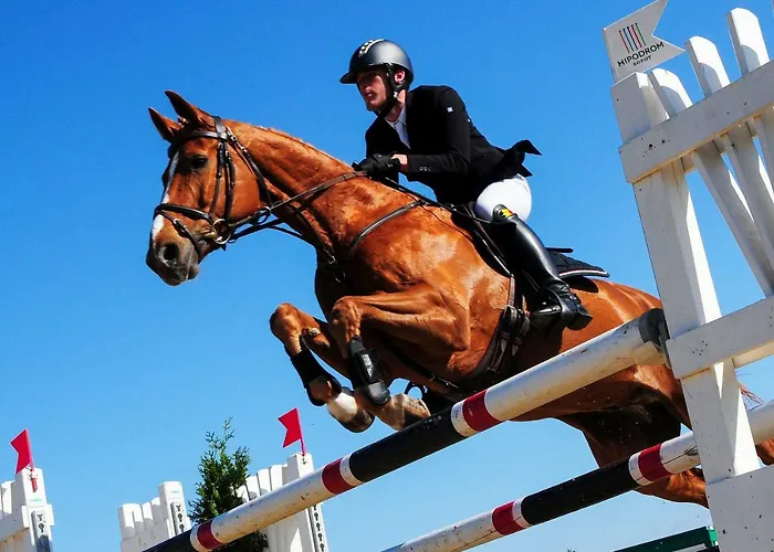 Blue Grey Atelier Sopot