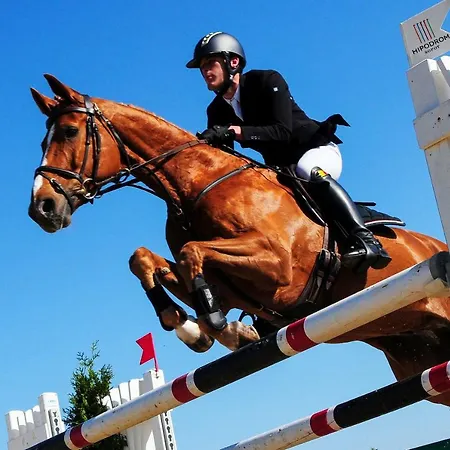 Blue Grey Atelier Sopot