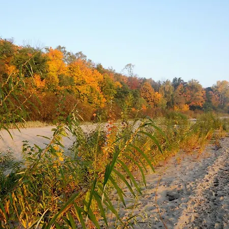 Blue Grey Atelier דירה